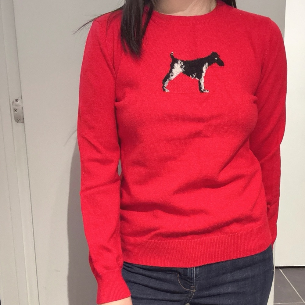 Red Dog Embroidered Sweater
